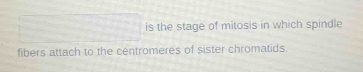 is the stage of mitosis in which spindle fibers attach to the centromer…