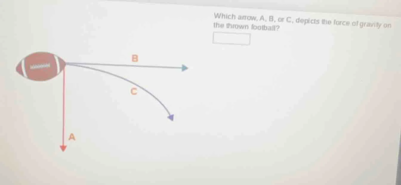which arrow, a, b, or c, depicts the force of gravity on the thrown foo…