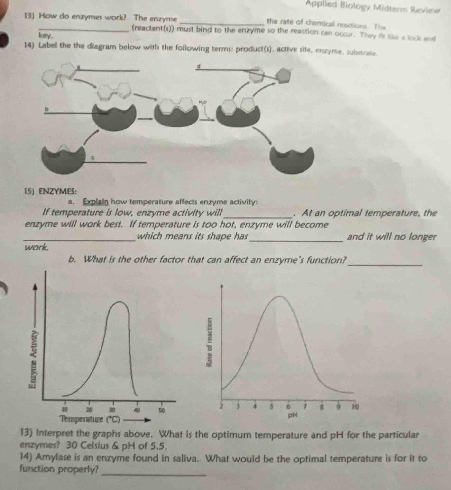 applied biology midterm review 13) how do enzymes work? the enzyme ____…