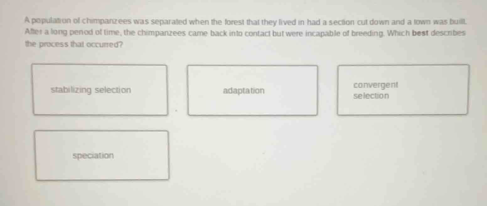 a population of chimpanzees was separated when the forest that they liv…