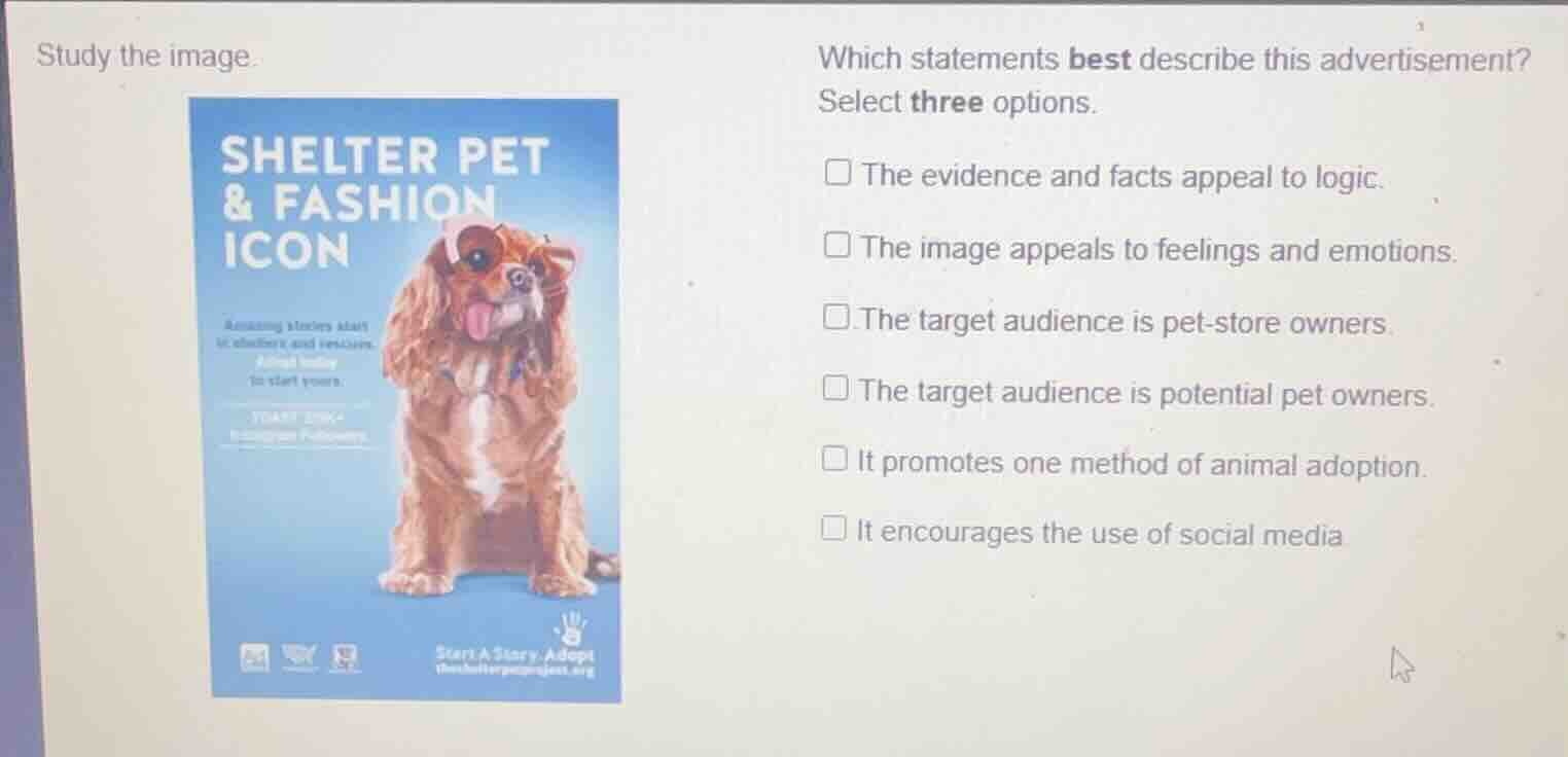 study the image. which statements best describe this advertisement? sel…