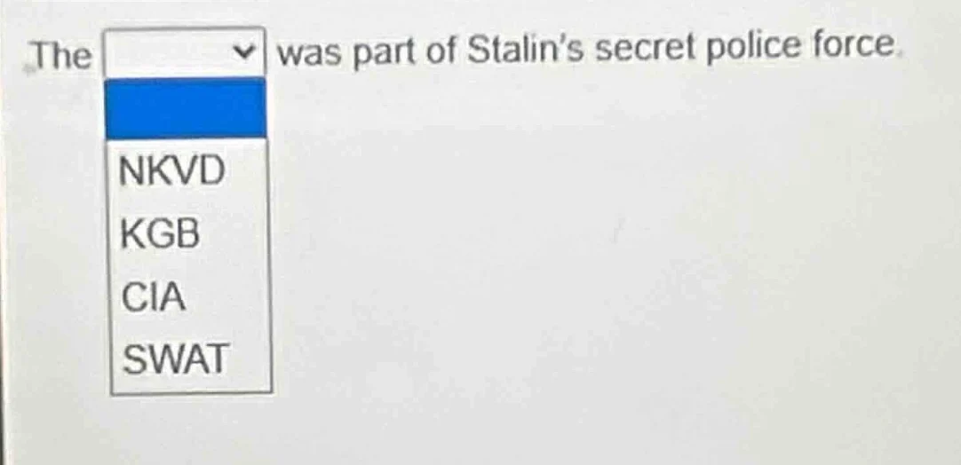 the was part of stalin’s secret police force. nkvd kgb cia swat
