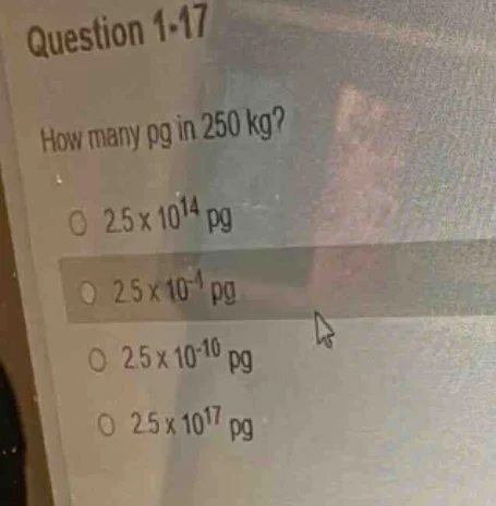 question 1-17 how many pg in 250 kg? ○ 2.5×10¹⁴ pg ○ 2.5×10⁻⁴ pg ○ 2.5×…