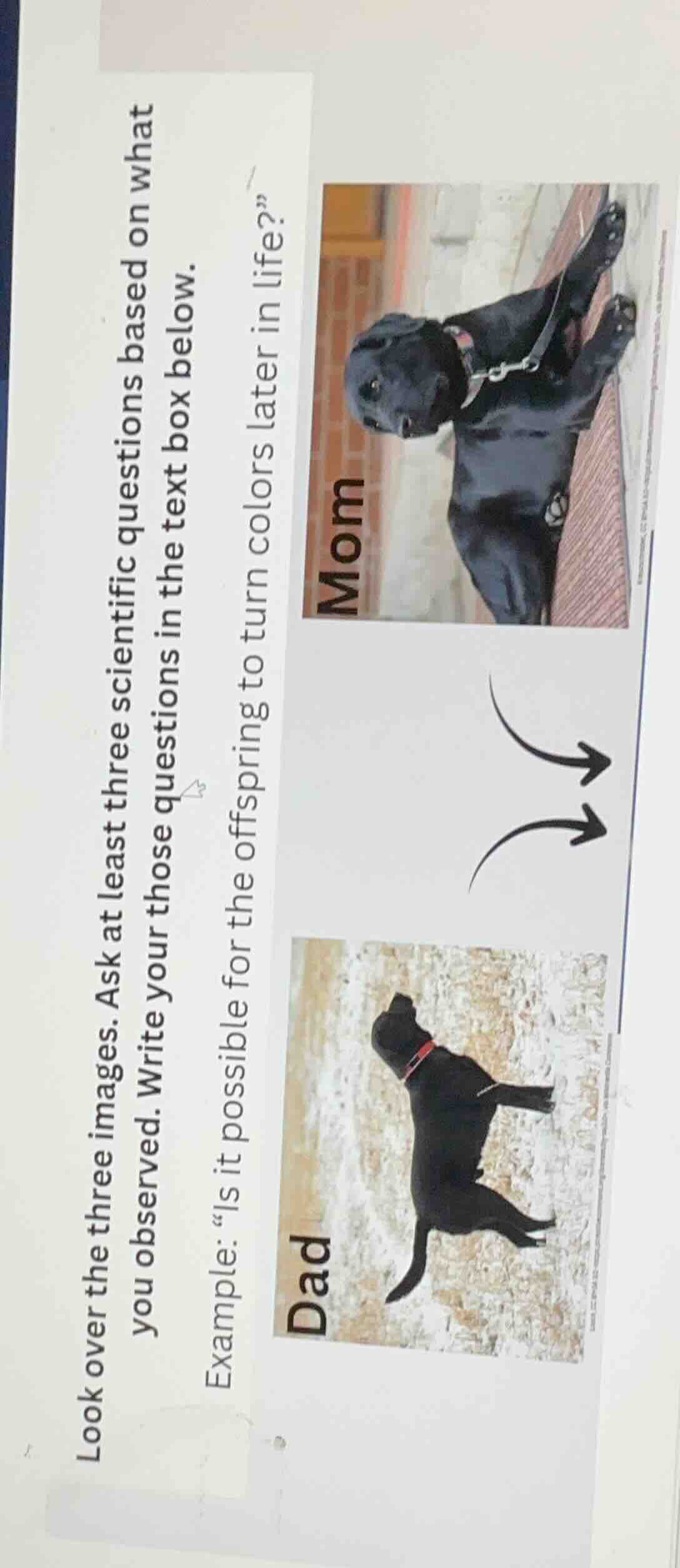 look over the three images. ask at least three scientific questions bas…