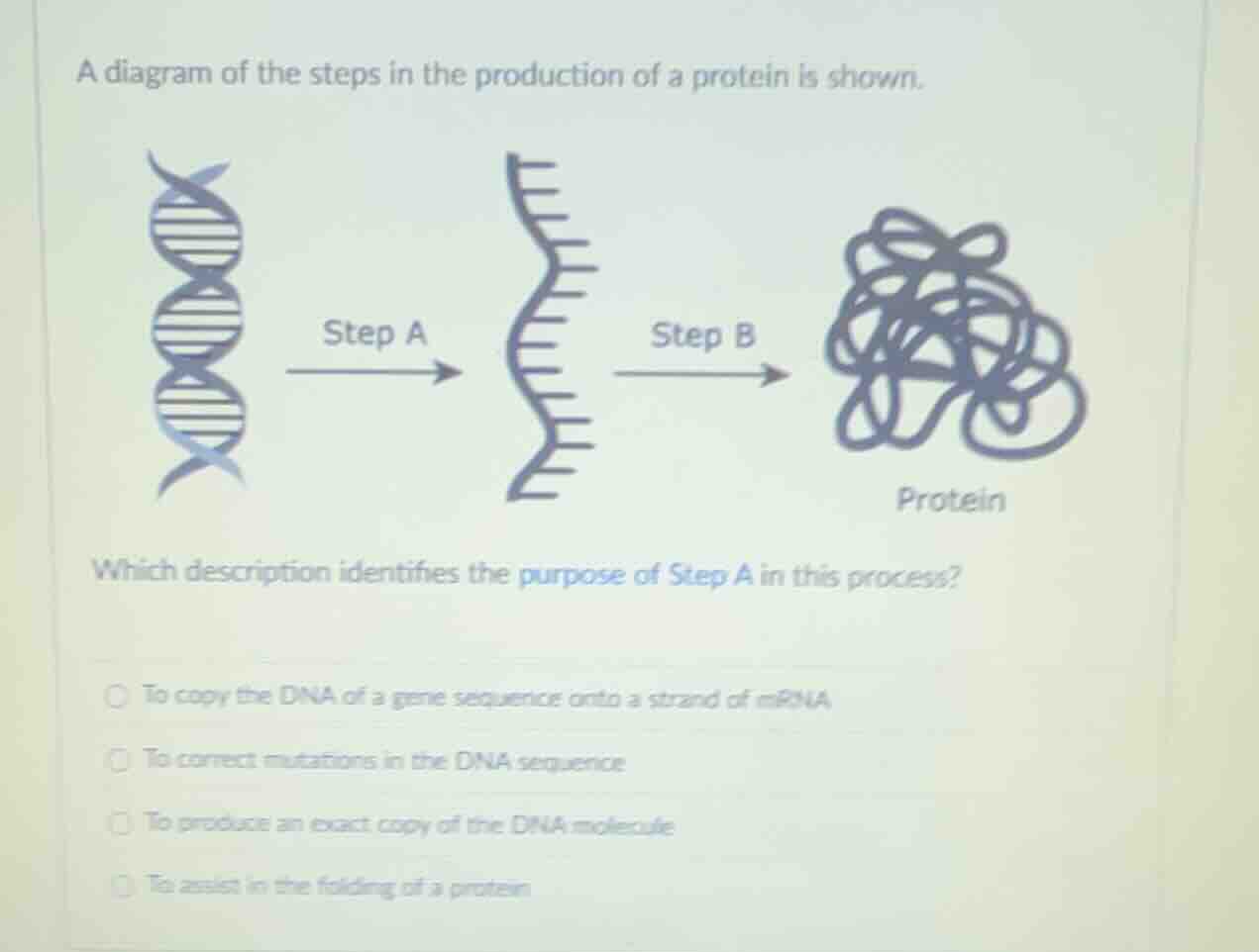 a diagram of the steps in the production of a protein is shown. which d…