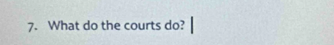 7. what do the courts do?