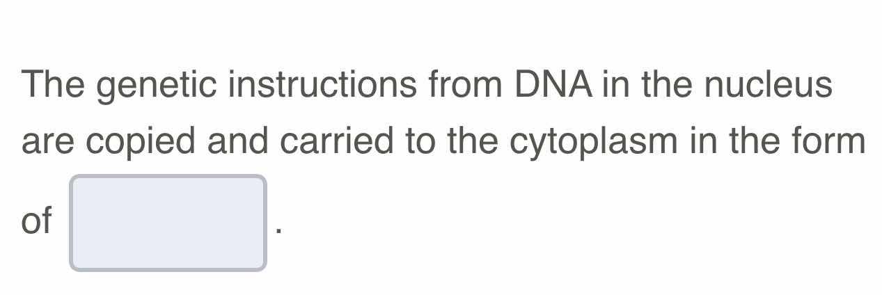 the genetic instructions from dna in the nucleus are copied and carried…