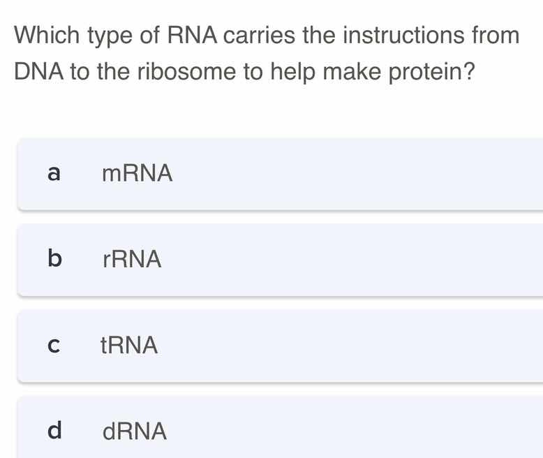 which type of rna carries the instructions from dna to the ribosome to …