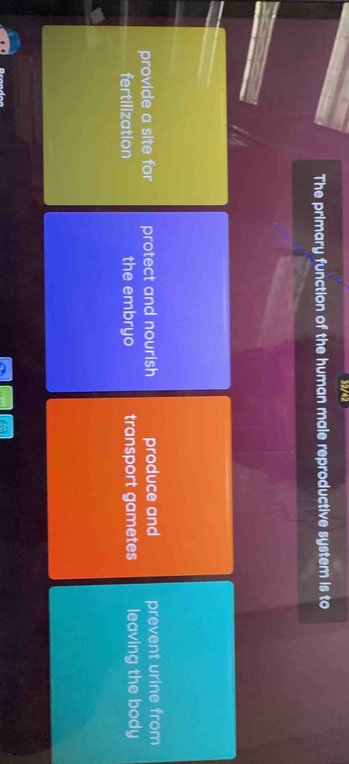 the primary function of the human male reproductive system is to provid…