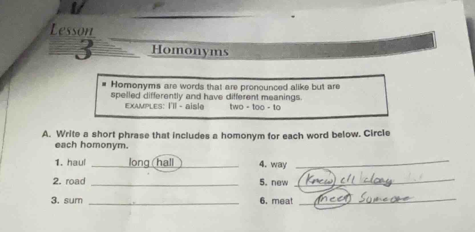 lesson 3 homonyms - homonyms are words that are pronounced alike but ar…