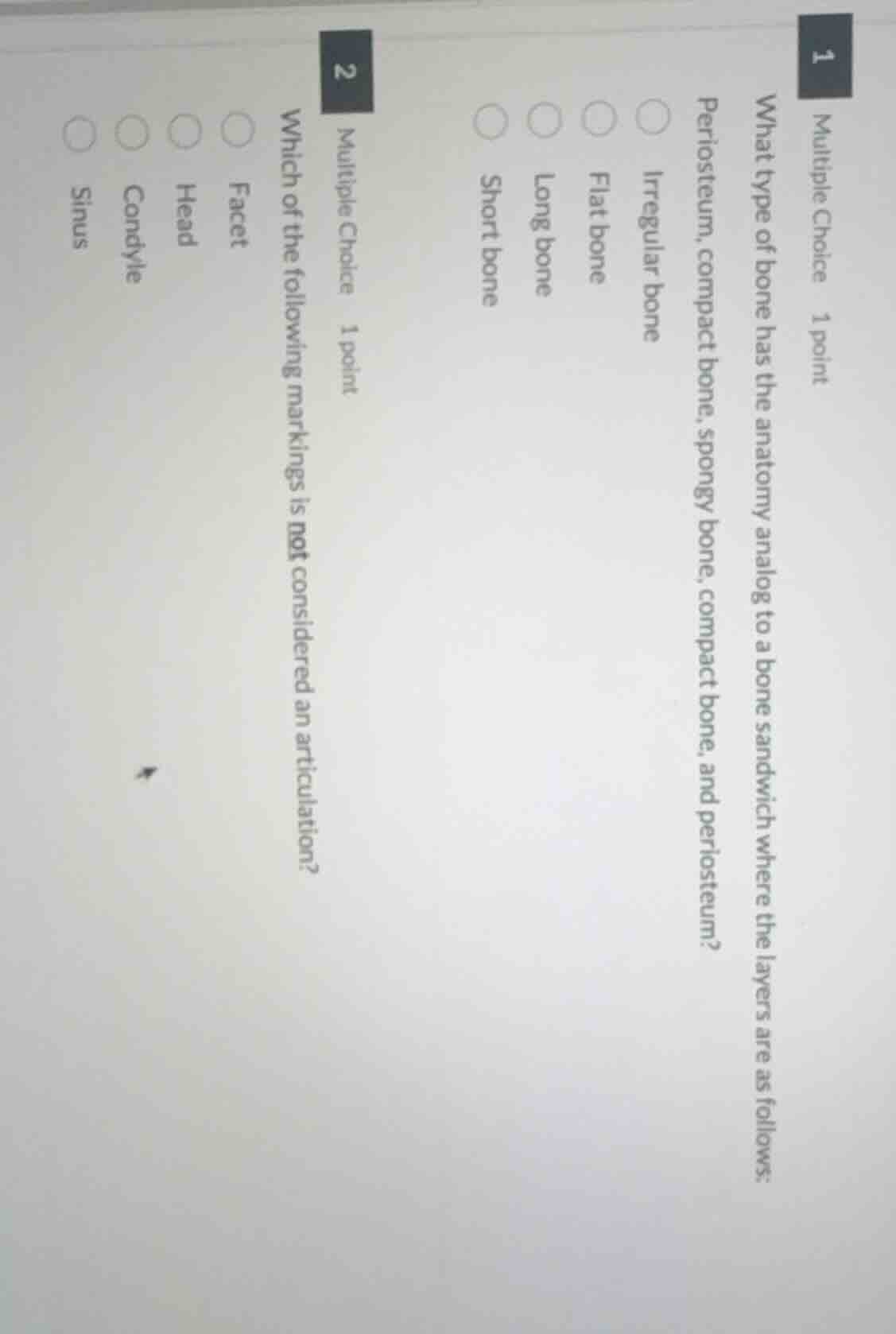 1 multiple choice 1 point what type of bone has the anatomy analog to a…