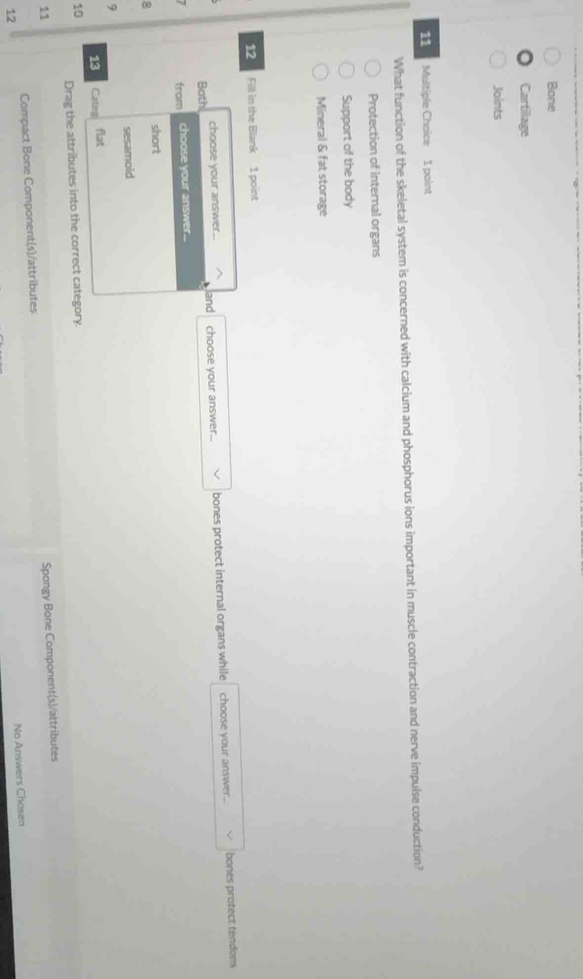 11 multiple choice 1 point what function of the skeletal system is conc…