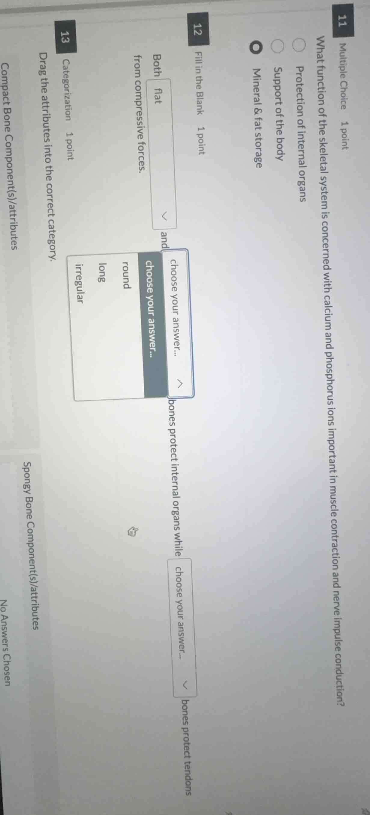 11 multiple choice 1 point what function of the skeletal system is conc…