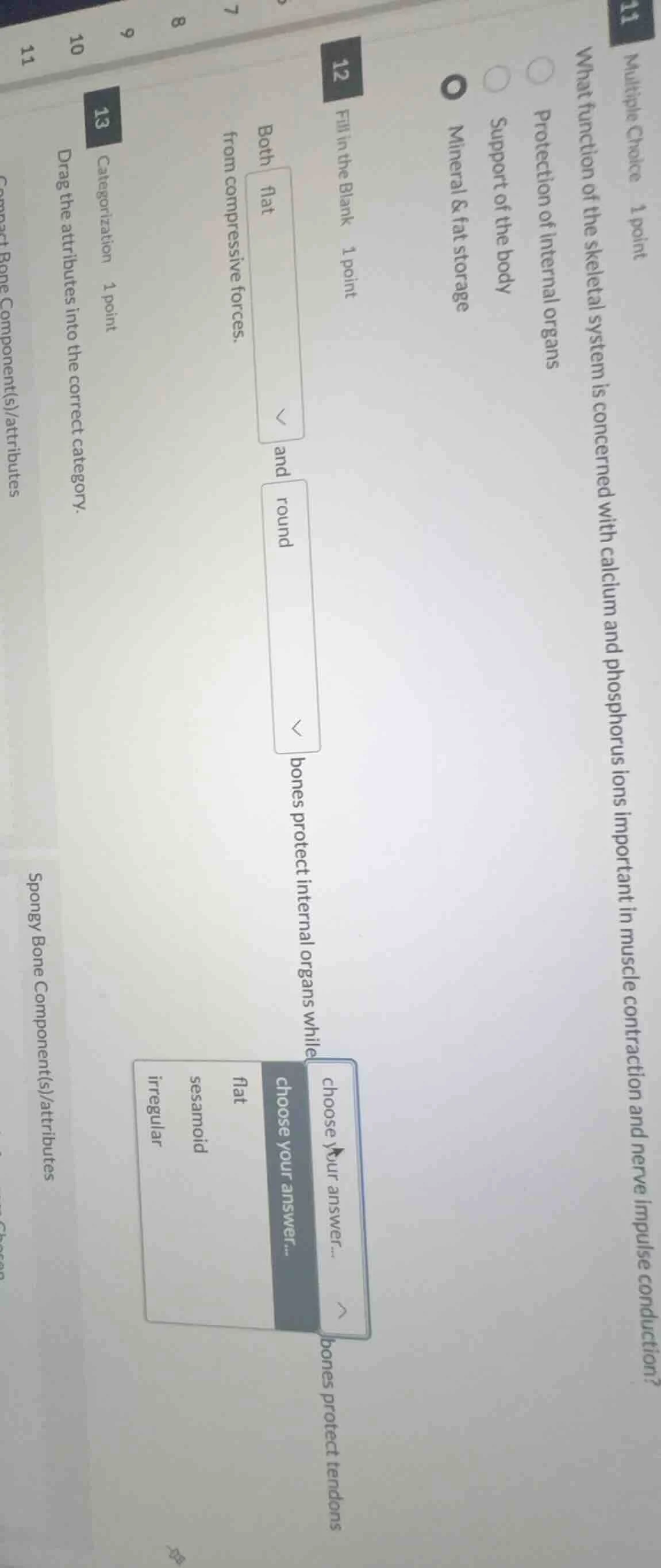 multiple choice 1 point what function of the skeletal system is concern…