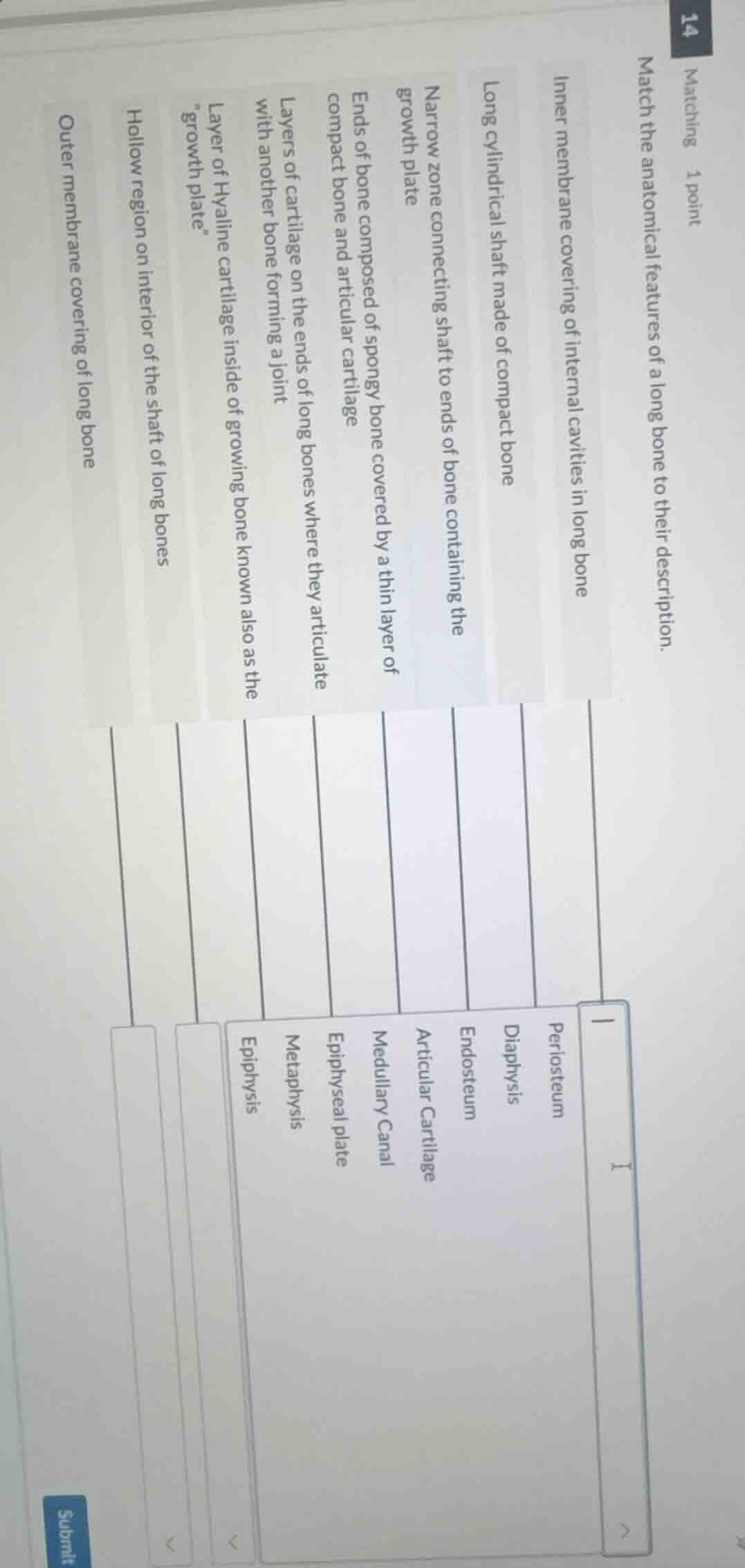 matching 1 point match the anatomical features of a long bone to their …