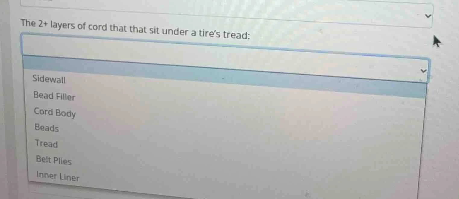 the 2+ layers of cord that that sit under a tire’s tread: sidewall bead…