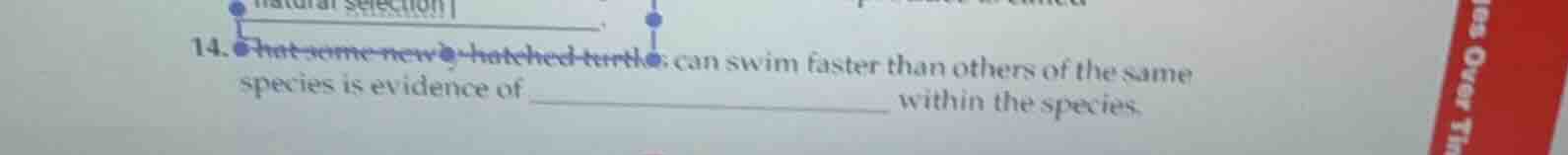 14. that some newly - hatched turtles can swim faster than others of th…