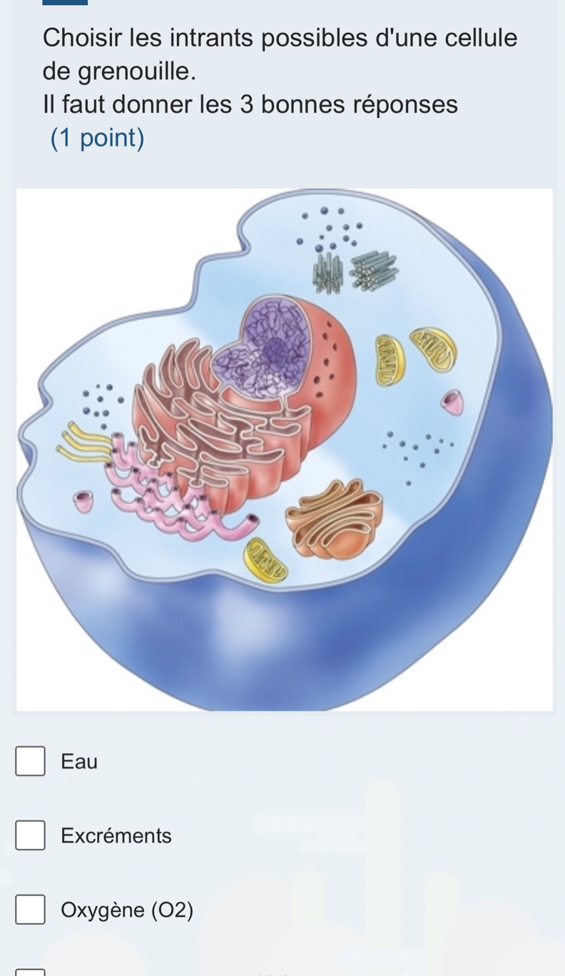 choisir les intrants possibles dune cellule de grenouille. il faut donn…