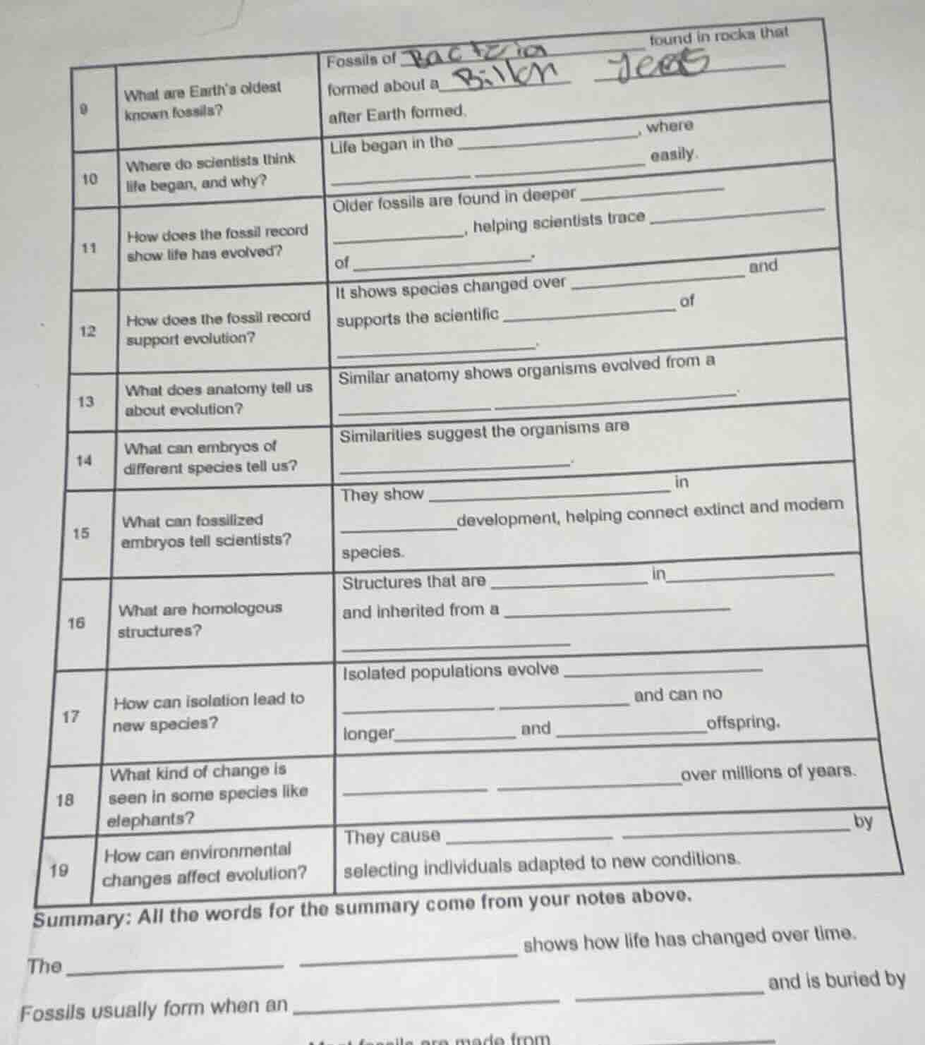 9 what are earth’s oldest known fossils? fossils of ______ found in roc…