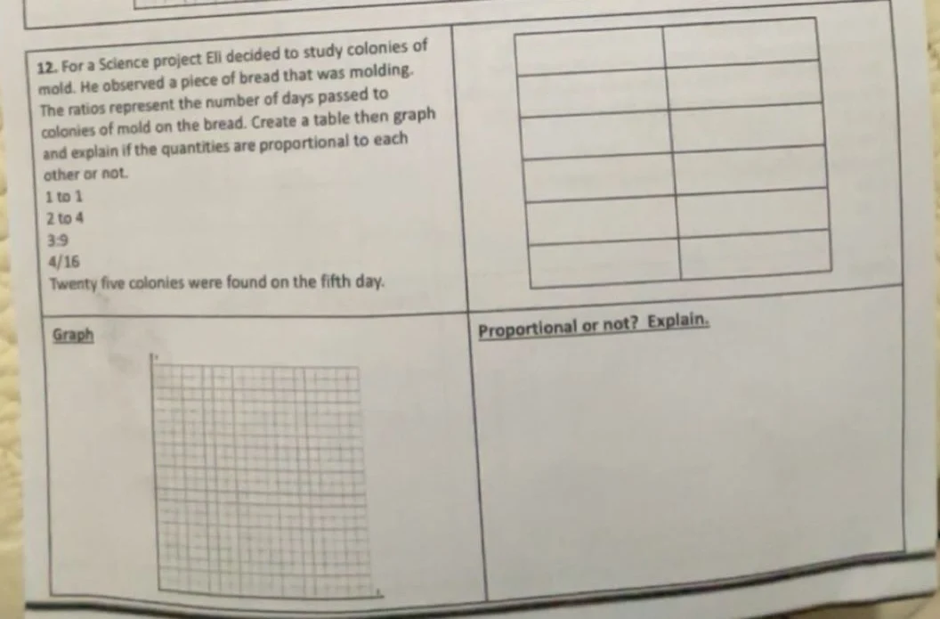 12. for a science project eli decided to study colonies of mold. he obs…