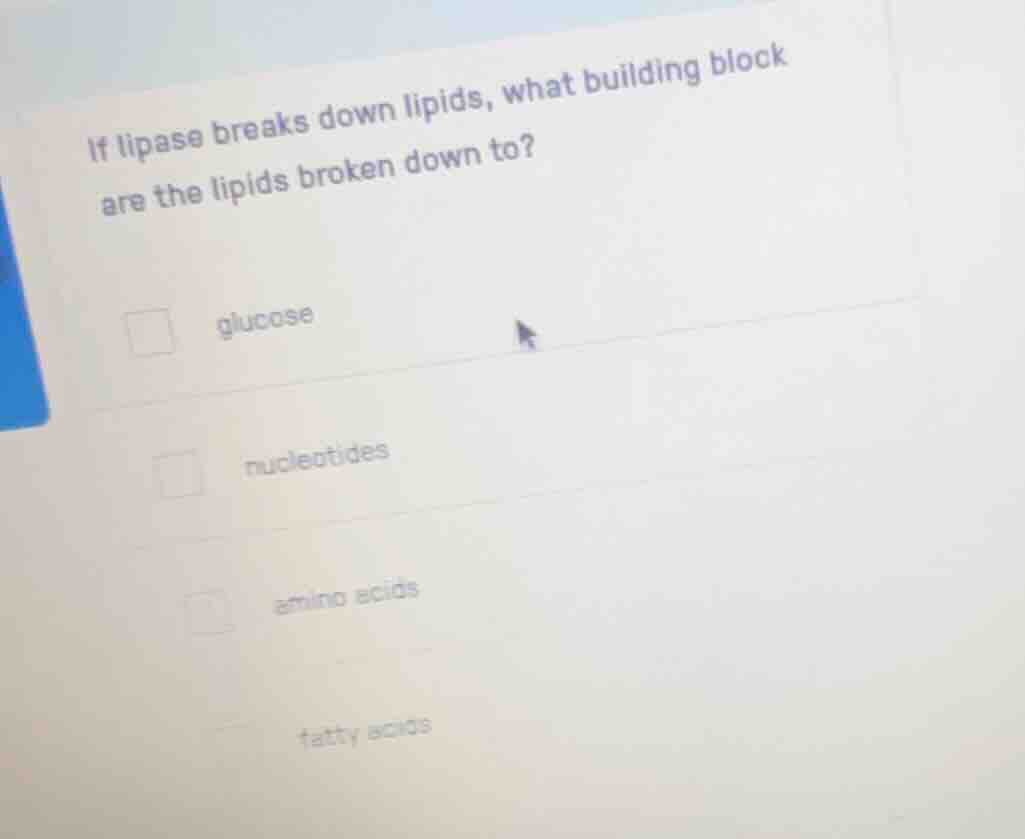 if lipase breaks down lipids, what building block are the lipids broken…
