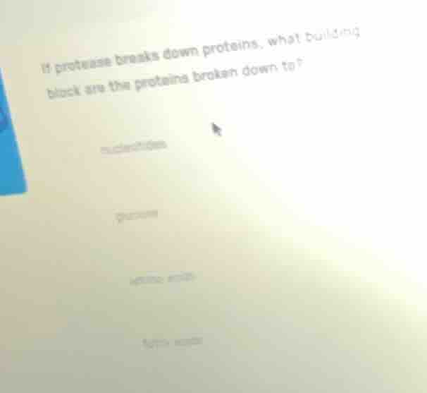 if protease breaks down proteins, what building block are the proteins …