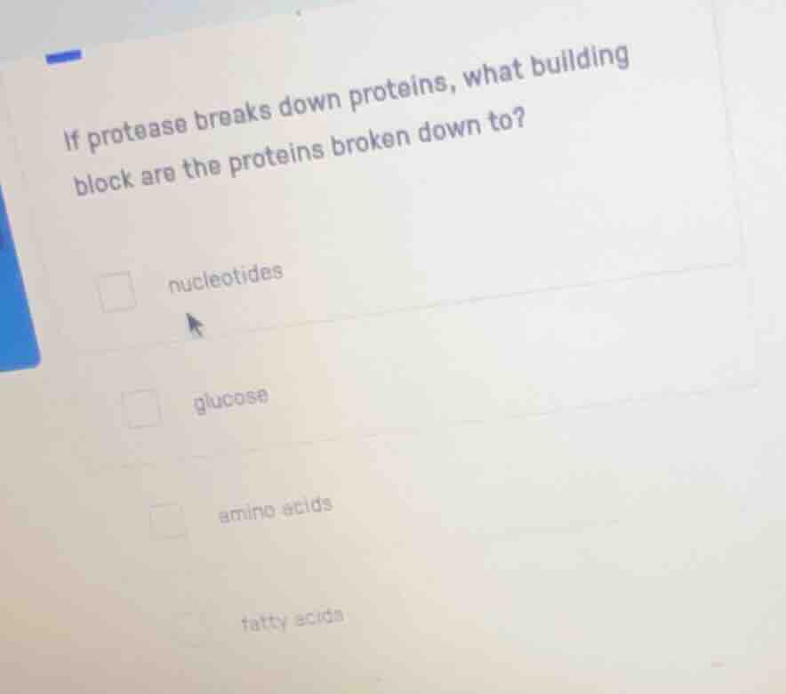if protease breaks down proteins, what building block are the proteins …