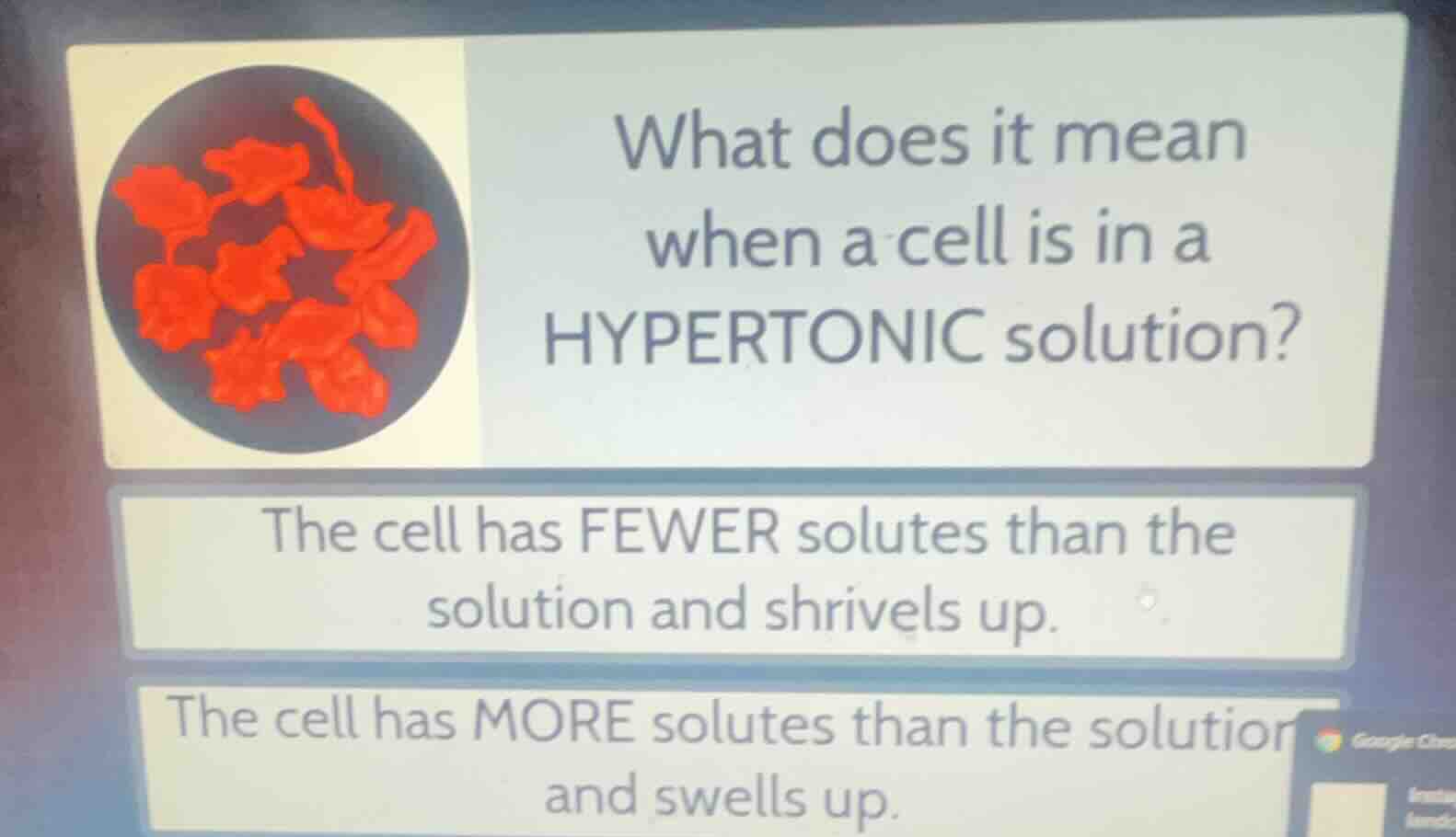 what does it mean when a cell is in a hypertonic solution? the cell has…