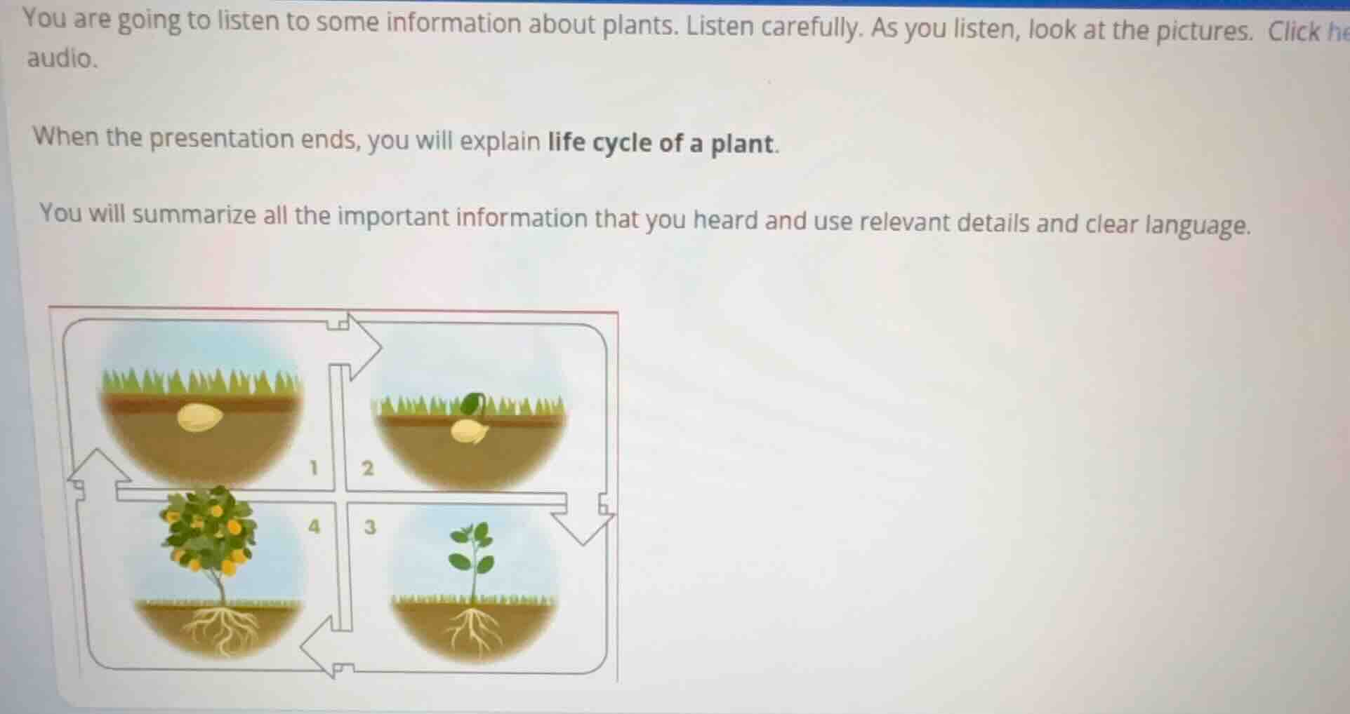 you are going to listen to some information about plants. listen carefu…