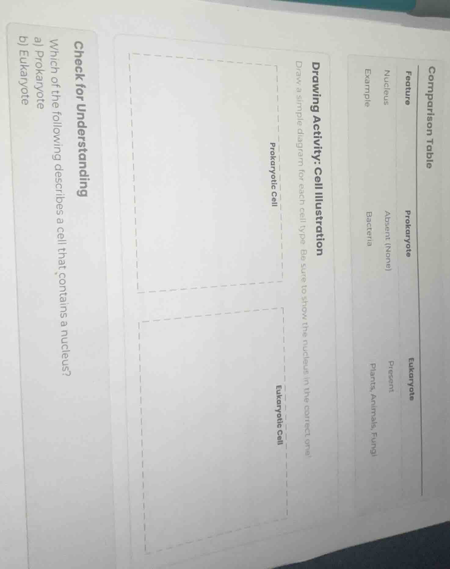check for understanding which of the following describes a cell that co…