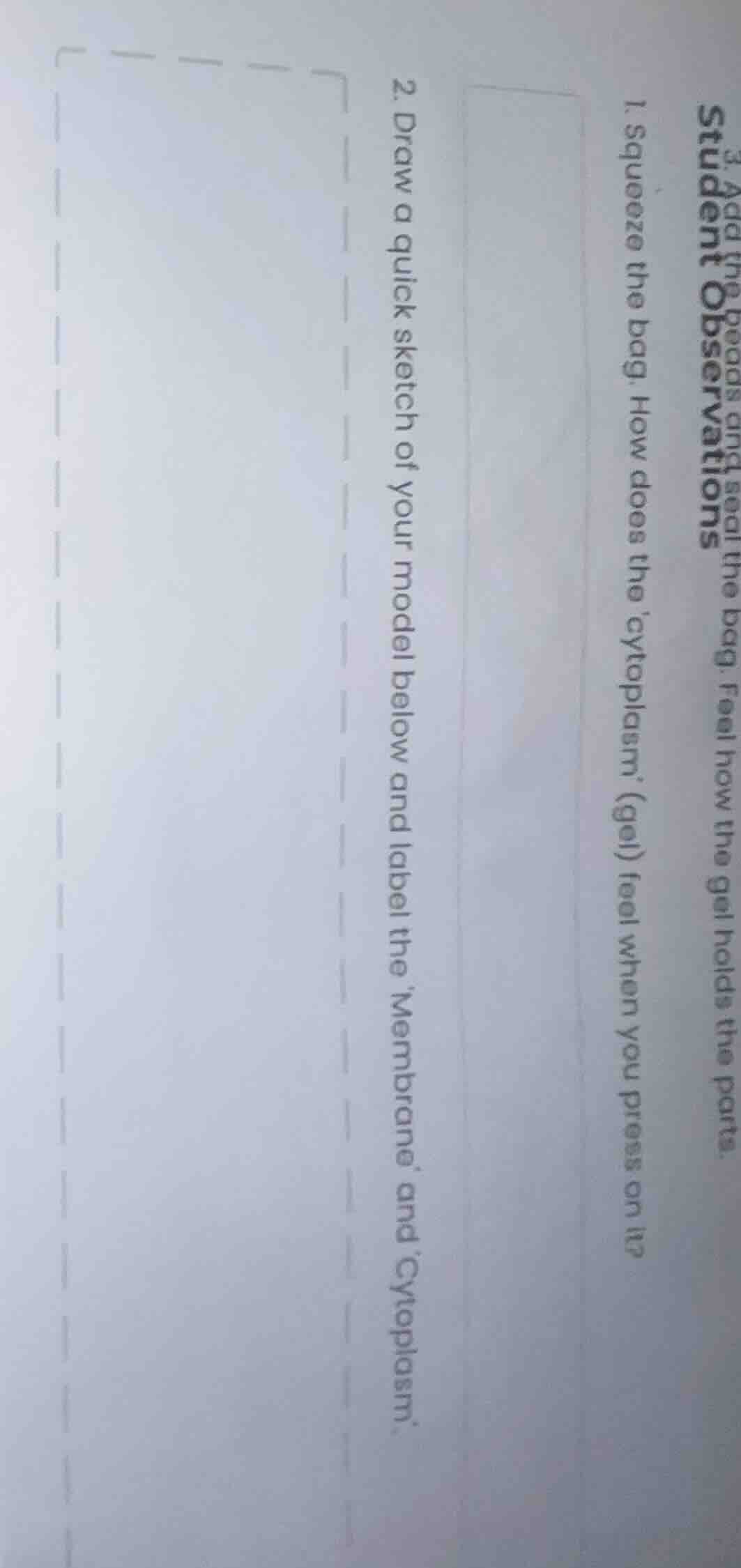 student observations 1. squeeze the bag. how does the cytoplasm (gel) f…