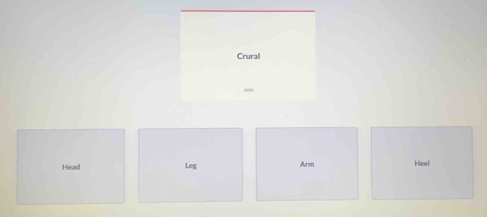 crural, head, leg, arm, heel