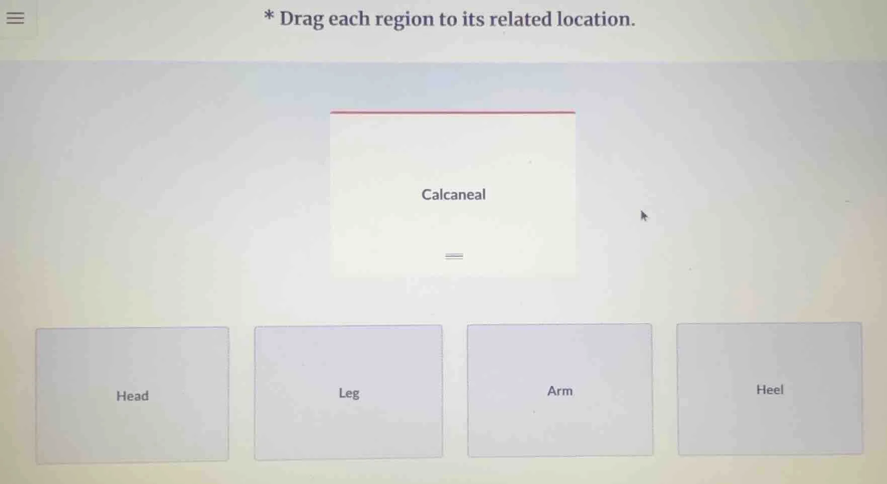 * drag each region to its related location. calcaneal head leg arm heel