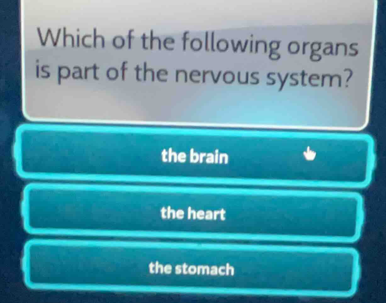 which of the following organs is part of the nervous system? the brain …