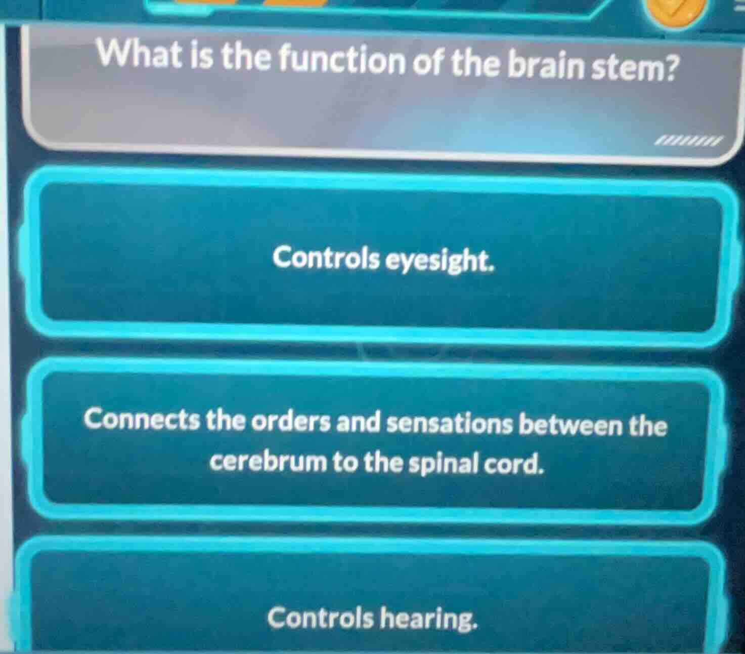 what is the function of the brain stem? controls eyesight. connects the…