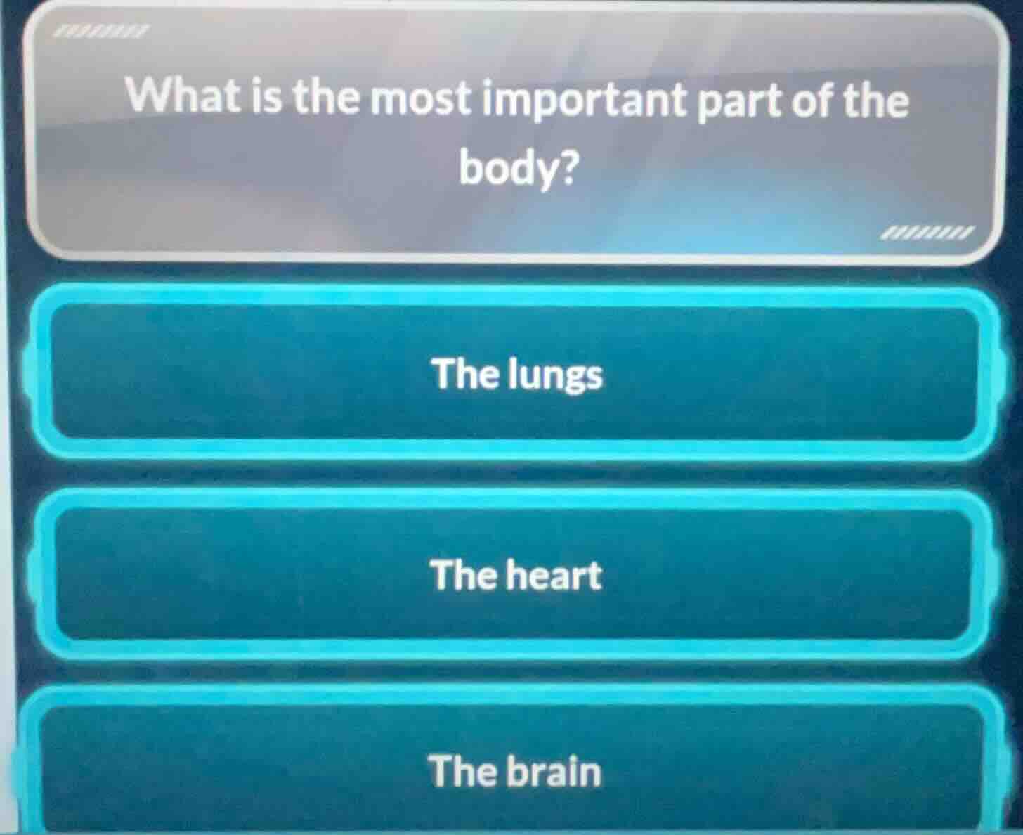 what is the most important part of the body? the lungs the heart the br…
