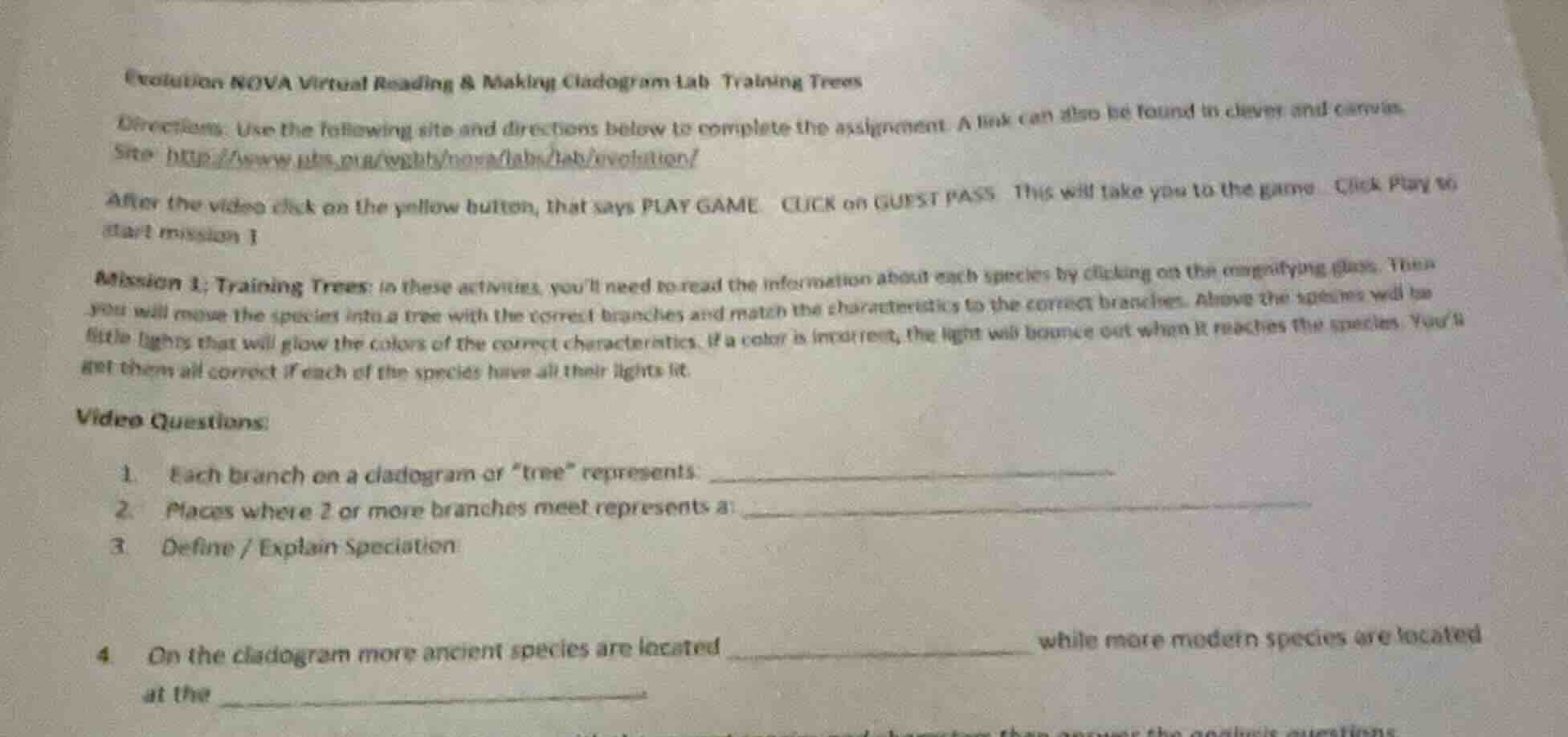 evolution nova virtual reading & making cladogram lab training trees di…