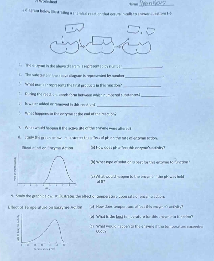 worksheet name a diagram below illustrating a chemical reaction that oc…