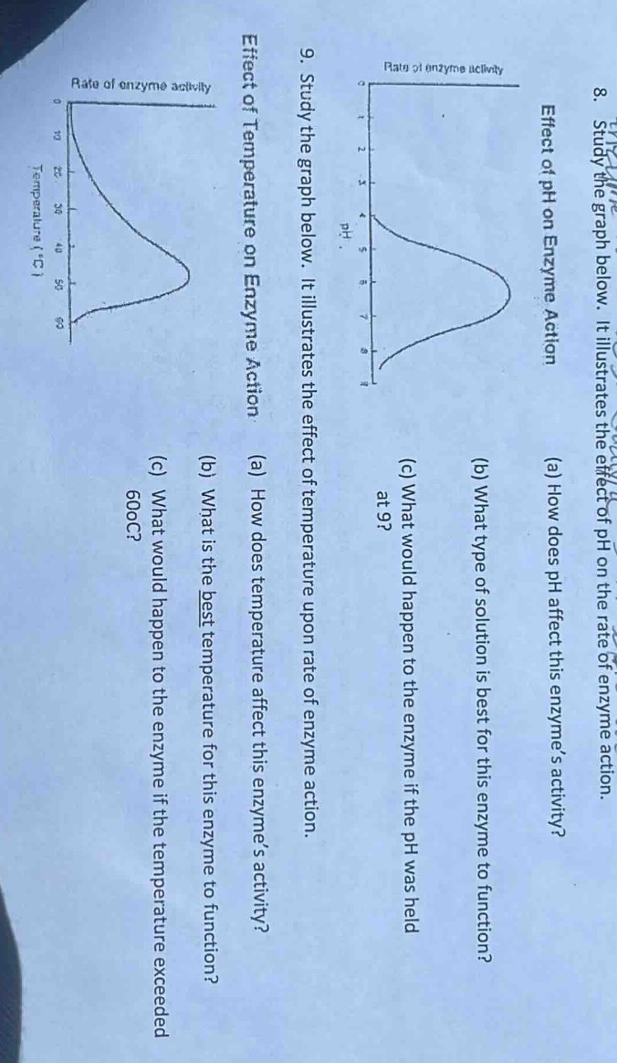 8. study the graph below. it illustrates the effect of ph on the rate o…