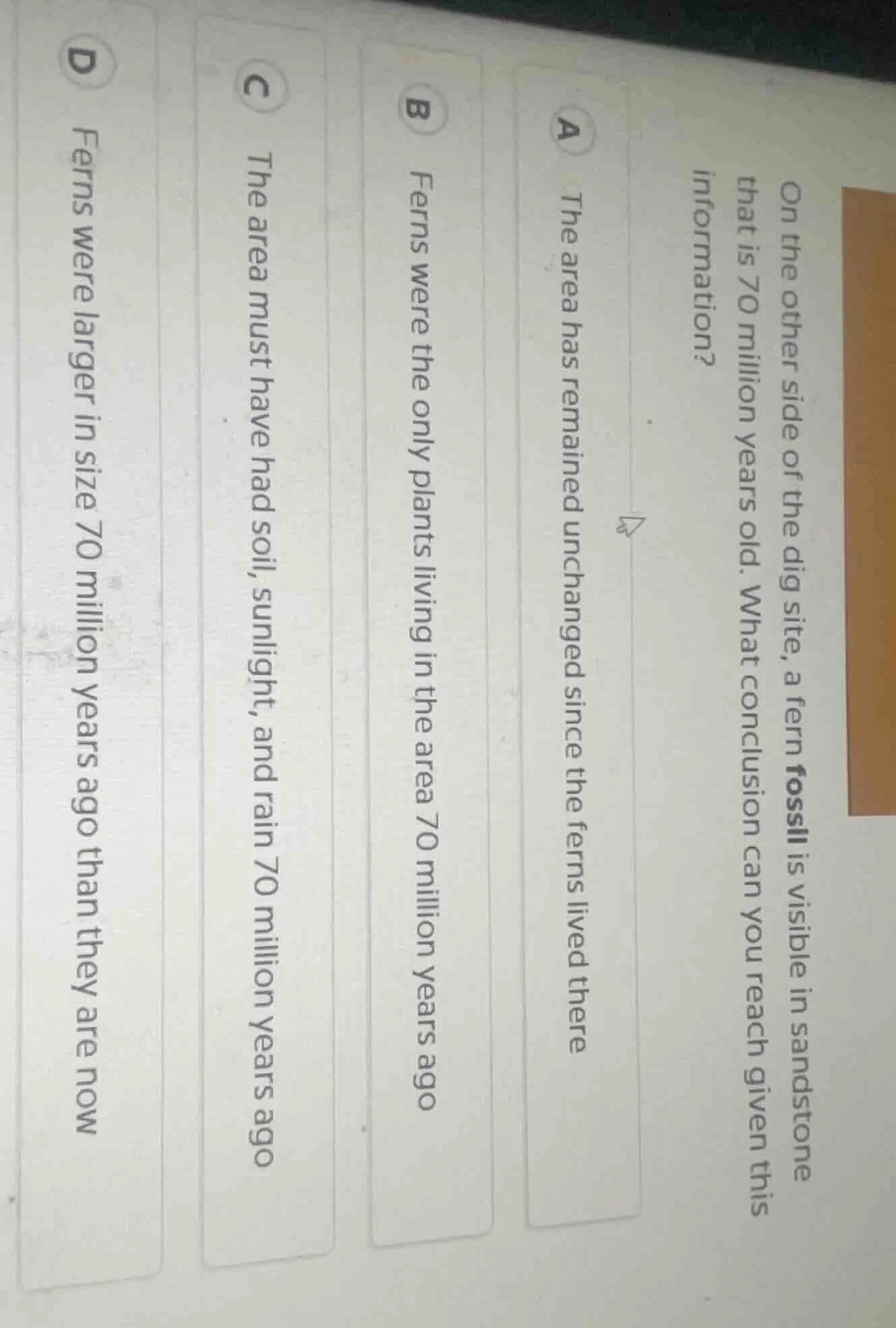 on the other side of the dig site, a fern fossil is visible in sandston…