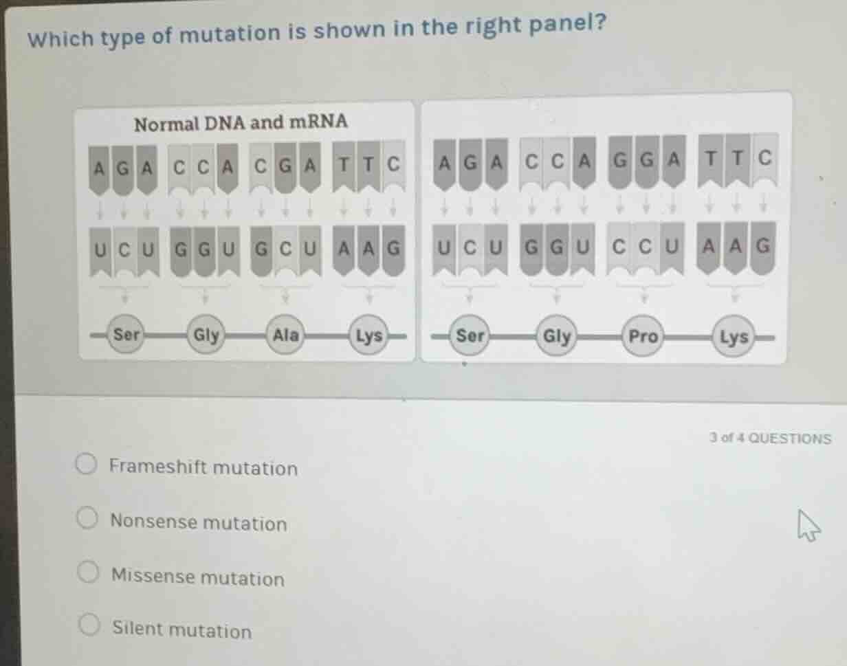 which type of mutation is shown in the right panel? normal dna and mrna…