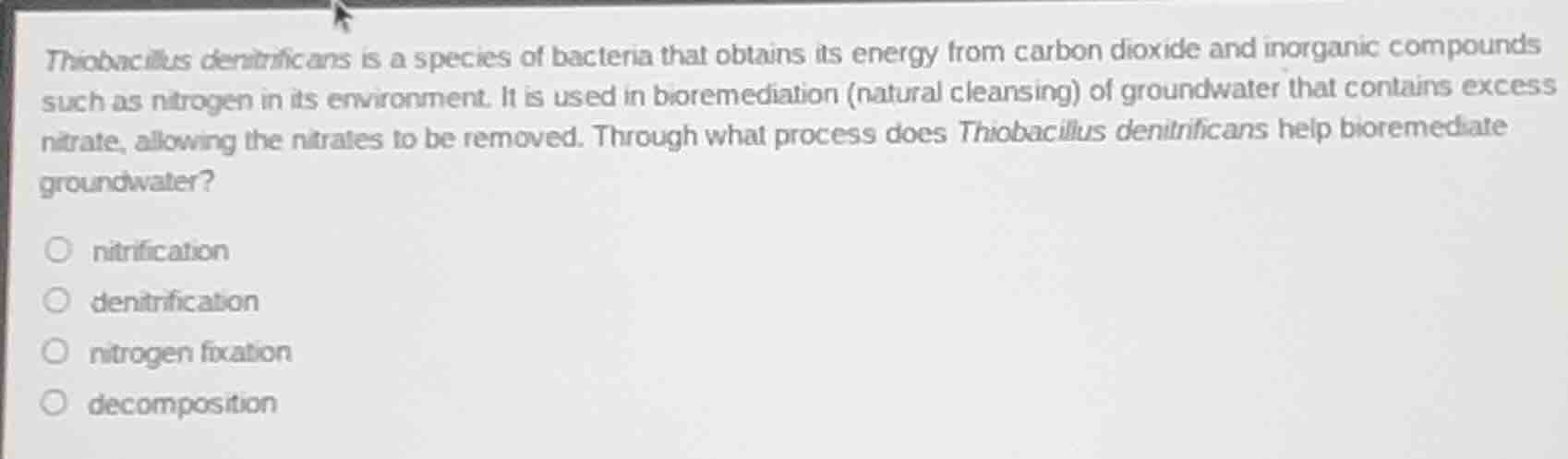 thiobacillus denitrificans is a species of bacteria that obtains its en…