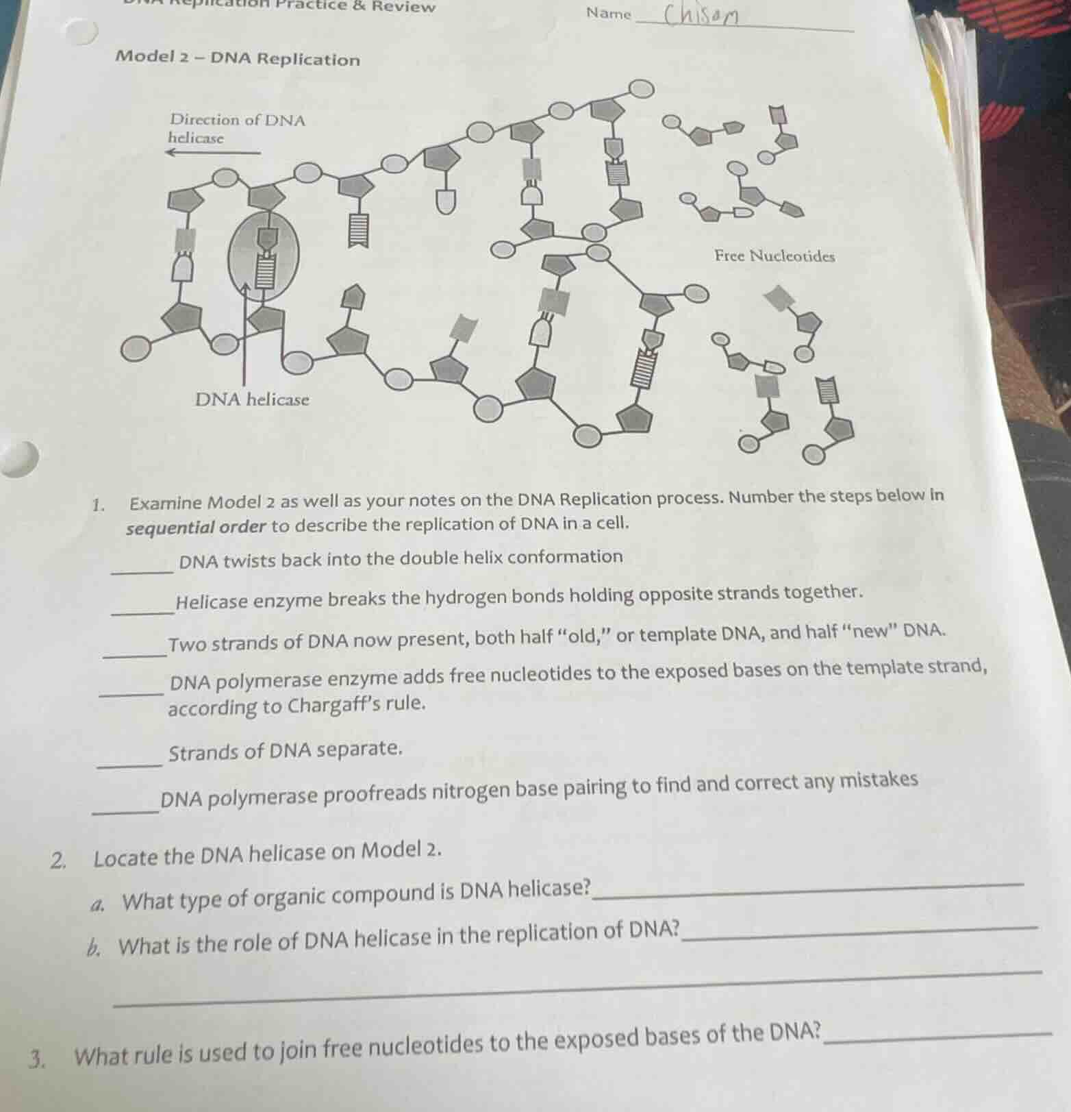 dna replication practice & review name chisam model 2 – dna replication…