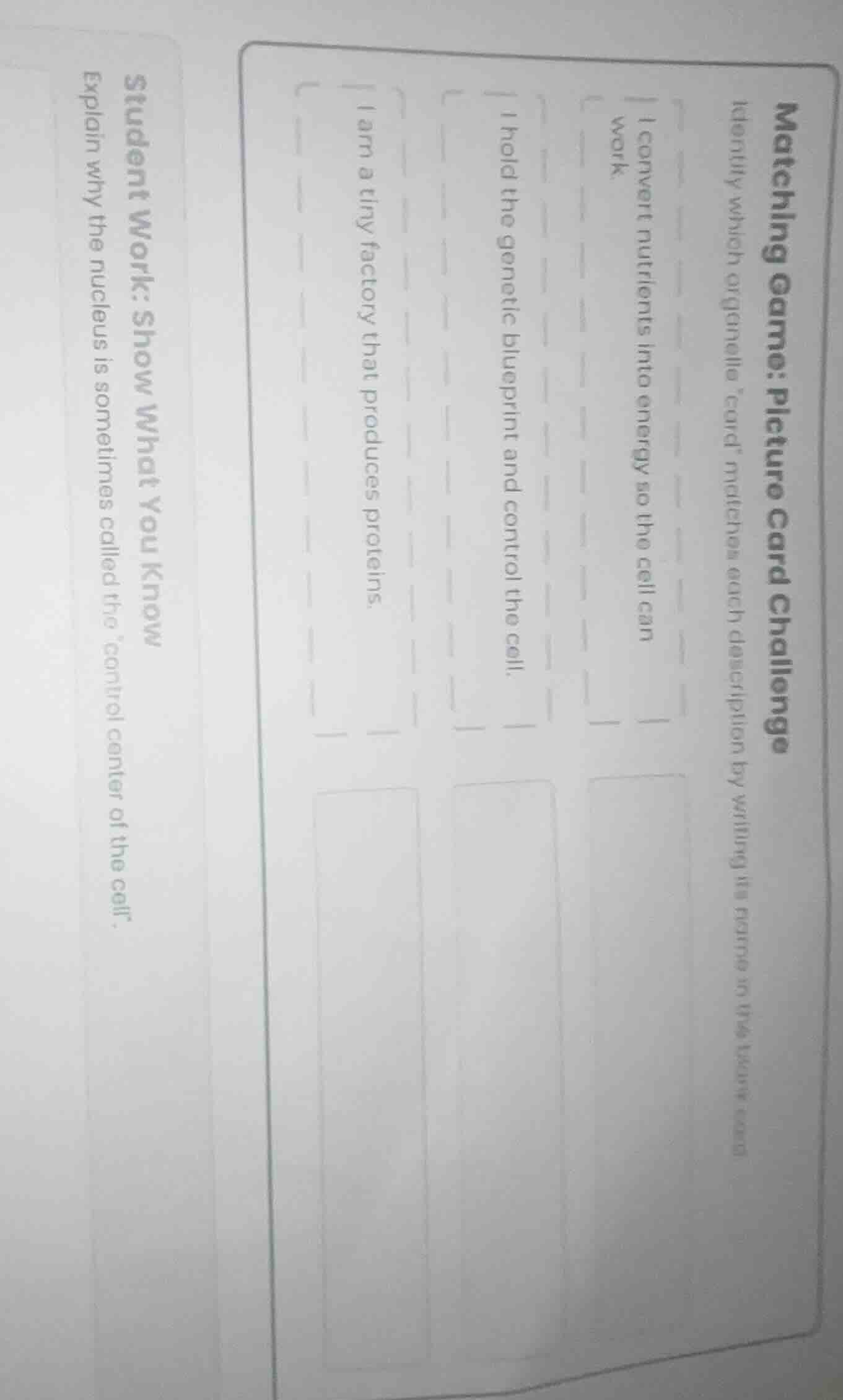 matching game: picture card challenge identify which organelle “card” m…