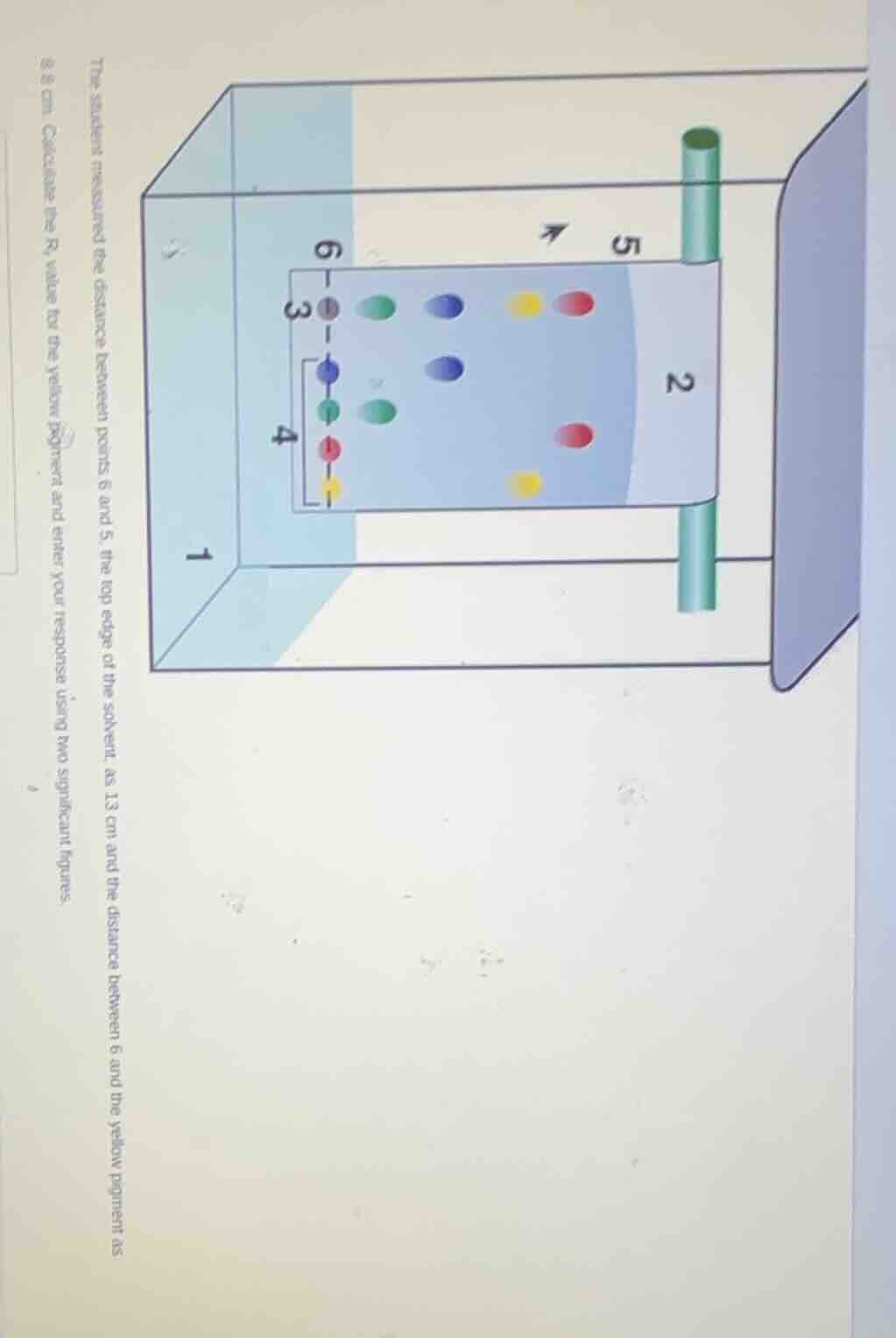 the student measured the distance between points 6 and 5, the top edge …