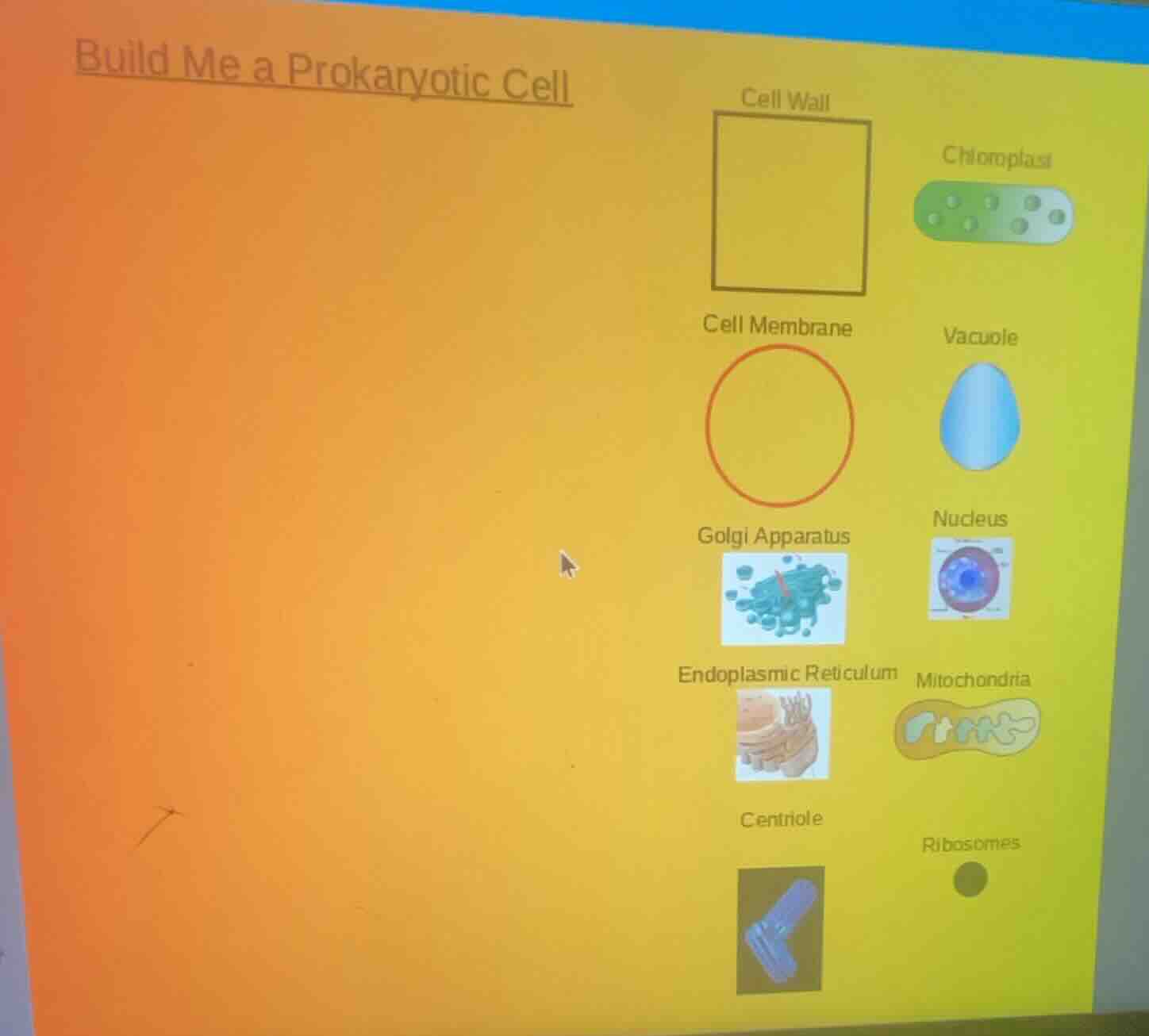 build me a prokaryotic cell cell wall chloroplast cell membrane vacuole…