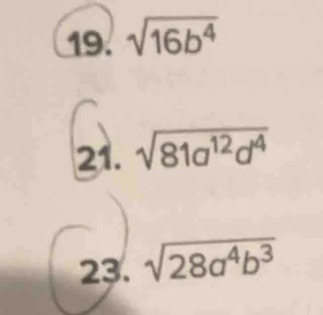 19. \\(sqrt{16b^4}\\) 21. \\(sqrt{81a^{12}d^4}\\) 23. \\(sqrt{28a^4b^3}…