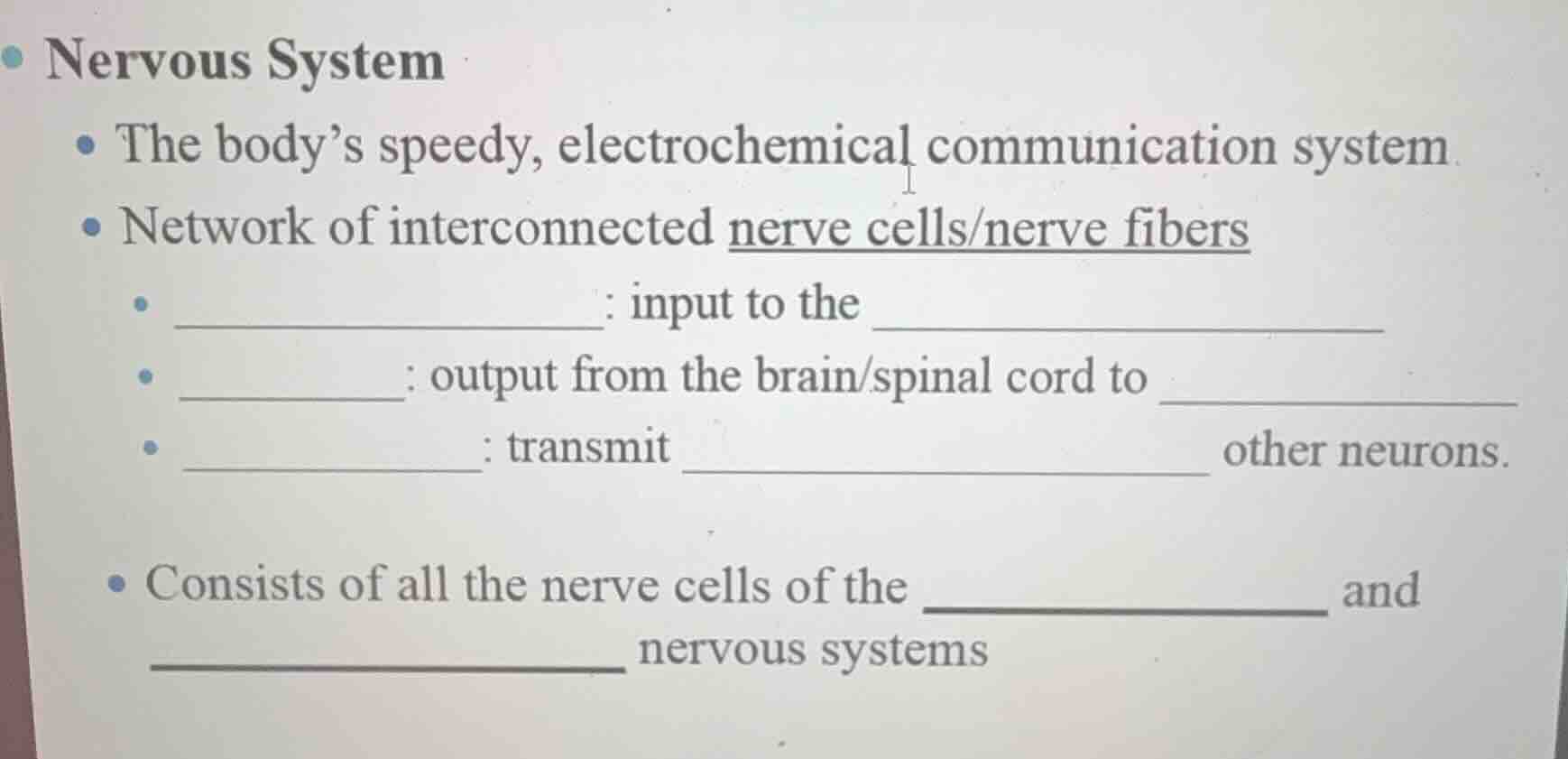 nervous system - the body’s speedy, electrochemical communication syste…