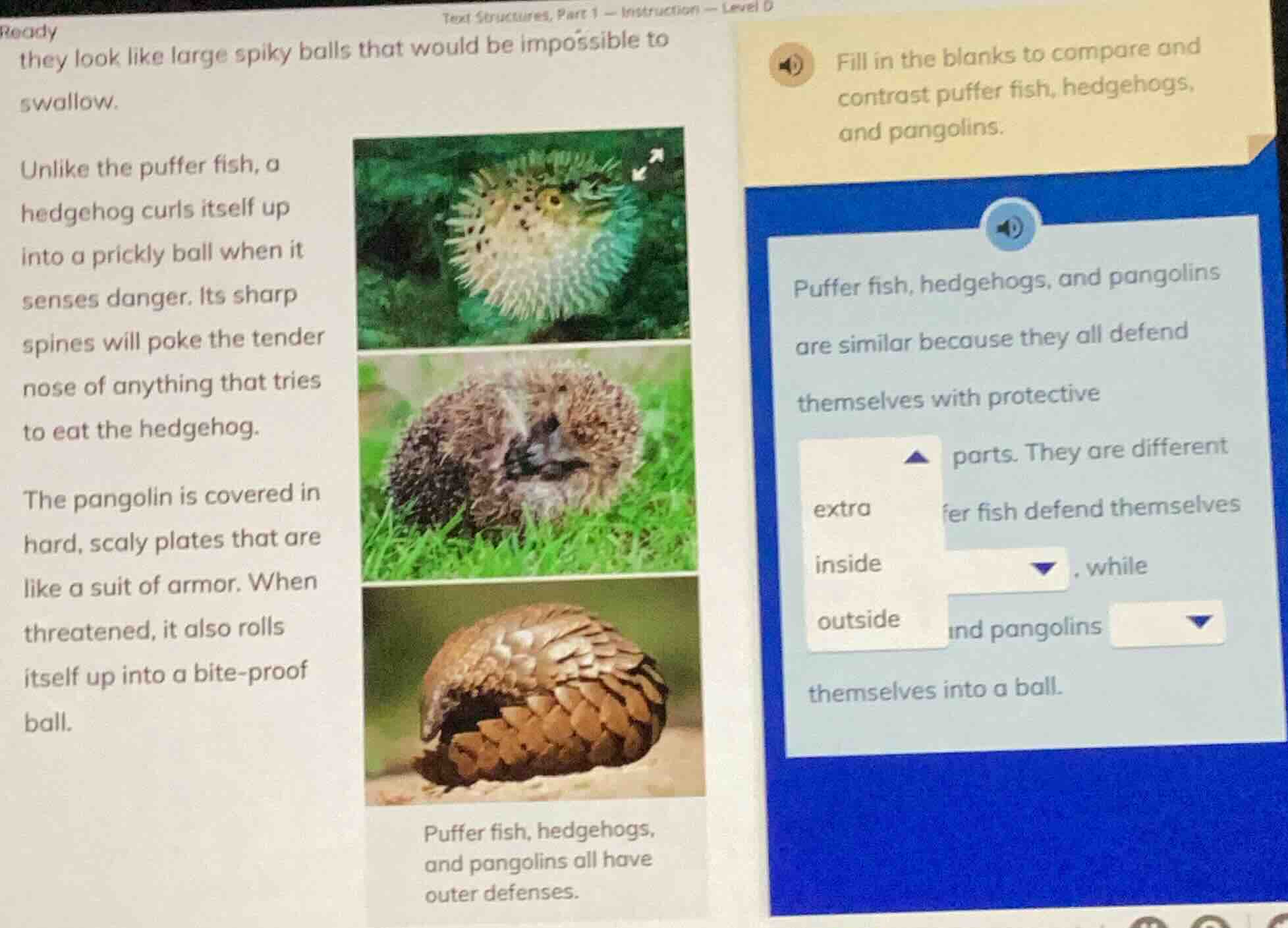 ready they look like large spiky balls that would be impossible to swal…