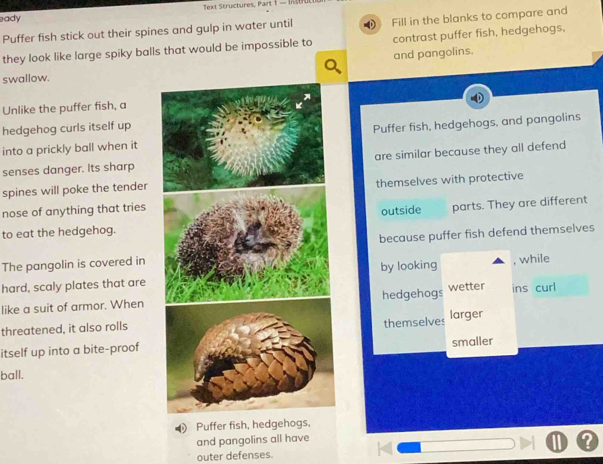 fill in the blanks to compare and contrast puffer fish, hedgehogs, and …